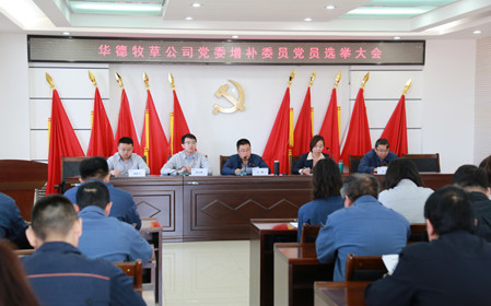 標題：華德牧草公司召開(kāi)黨員大會(huì )
瀏覽次數：1140
發(fā)表時(shí)間：2024-04-29
