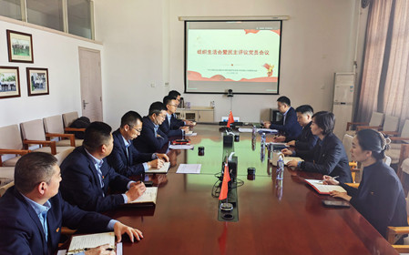 標題：銷(xiāo)售黨支部召開(kāi)組織生活會(huì )暨民主評議黨員會(huì )議
瀏覽次數：25
發(fā)表時(shí)間：2025-02-26